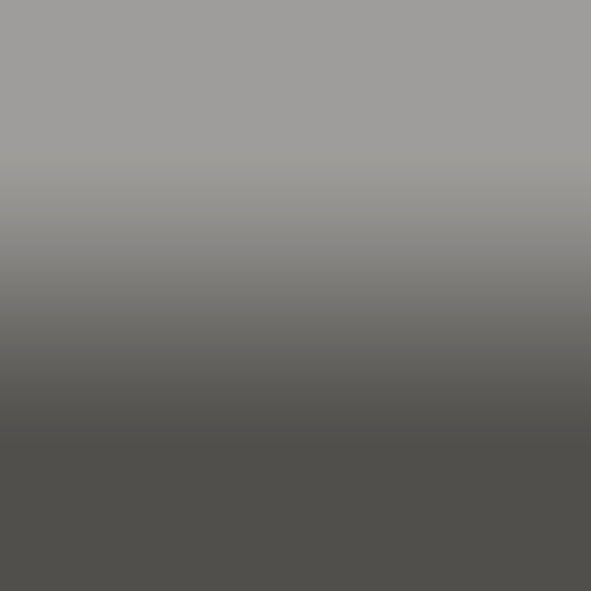 Habillage de véhicule 3D 2080-G31 | Gris orage