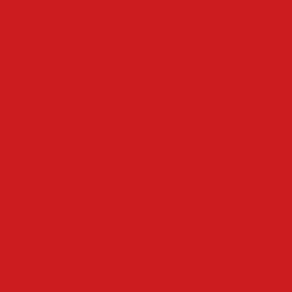 Habillage de véhicule 3D 2080-G53 | Rouge Flamme