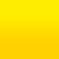 2D-Fahrzeugfolie 807 | Primrose Yellow Gloss