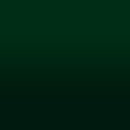 2D-Fahrzeugfolie 811 | Forest Green Gloss