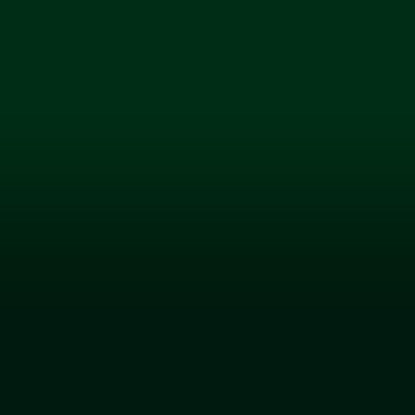 2D-Fahrzeugfolie 811 | Forest Green Gloss