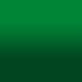 2D-Fahrzeugfolie 812 | Cactus Green Gloss