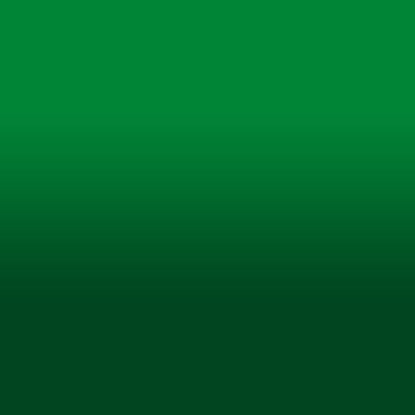 2D-Fahrzeugfolie 812 | Cactus Green Gloss