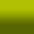 2D-Fahrzeugfolie 814-01 | Wasabi Green Gloss