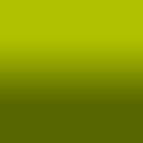 2D-Fahrzeugfolie 814-01 | Wasabi Green Gloss