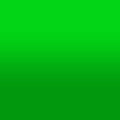2D-Fahrzeugfolie 814 | Lime Gloss