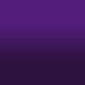2D-Fahrzeugfolie 817 | Violet Gloss