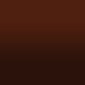 2D-Fahrzeugfolie 818 | Chocolate Brown Gloss