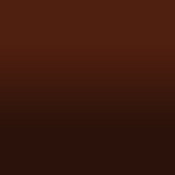 2D-Fahrzeugfolie 818 | Chocolate Brown Gloss