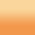 2D-Fahrzeugfolie 819 | Beige Gloss