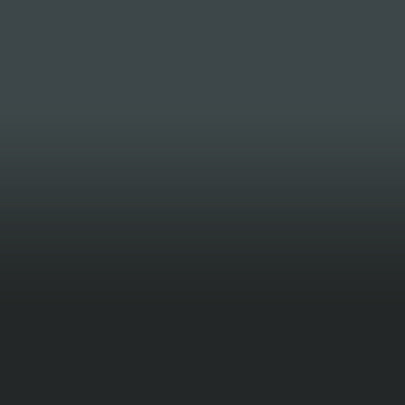 2D-Fahrzeugfolie 820 | Grey Gloss