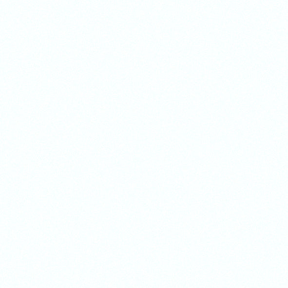 2D-Fahrzeugfolie 830 | White Matt