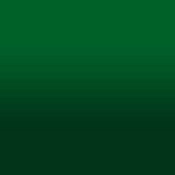 2D-Fahrzeugfolie 834 | Kelly Green Gloss
