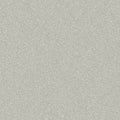 2D-Fahrzeugfolie 835-01 | Silver Metallic Matt