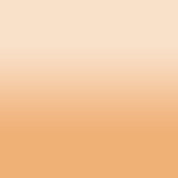 2D-Fahrzeugfolie 857 | Ivory Gloss
