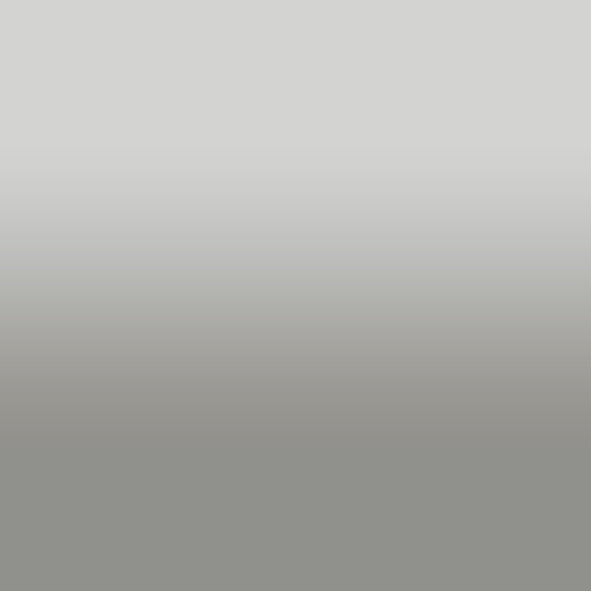 2D-Fahrzeugfolie 859 | Light Grey Gloss