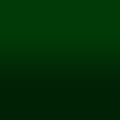 2D-Fahrzeugfolie 878 | Leaf Green Gloss