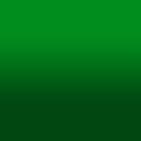 2D-Fahrzeugfolie 879 | Bright Green Gloss