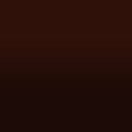 2D-Fahrzeugfolie 880-01 | Brown Gloss