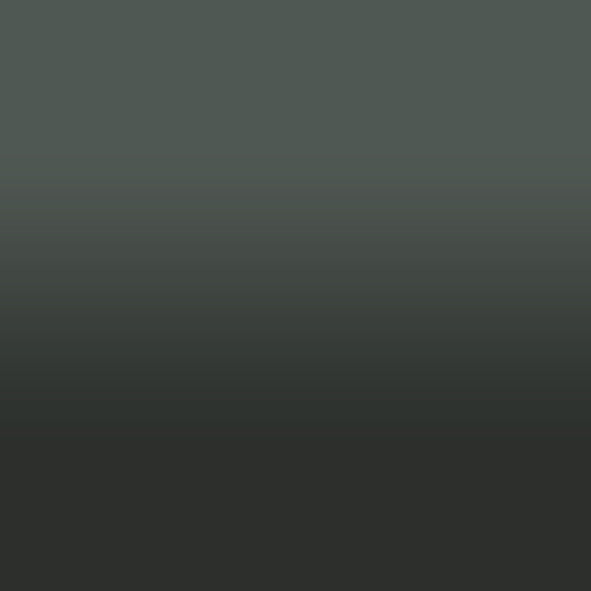 2D-Fahrzeugfolie 885 | Cloud Grey Gloss
