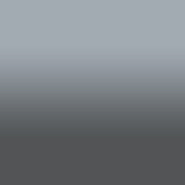 2D-Fahrzeugfolie 886-01 | Mouse Grey Gloss